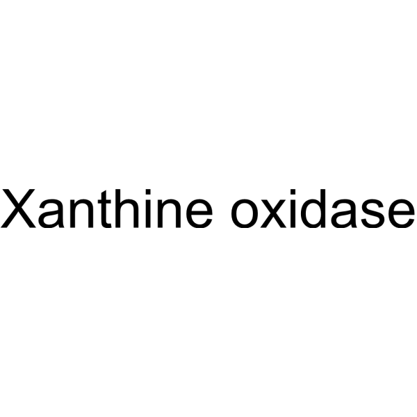 Xanthine oxidase 9002-17-9
